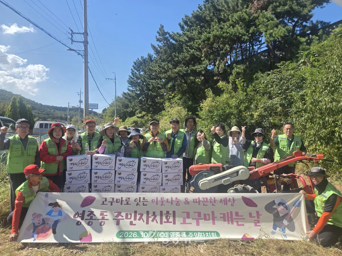 영종동 주민자치회, 직접 키운 고구마 수확…어려운 이웃에 따뜻한 나눔